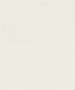 Budget ✨ STARGAZER Stargazer White | PRESSED POWDER 💯 -Alternative Accessories Elegant Store 563 0white 1 700x700