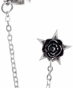 Best Sale π₯° ALCHEMY GOTHIC Pentacles & Pentagrams Rosa Nocta | EARCUFF π