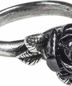 Best reviews of 😉 ALCHEMY GOTHIC Valentines Token Of Love | RING 👏 -Alternative Accessories Elegant Store alchemy gothic token of love ring 2 647854b7 ce5f 49ad 9bf4 754179f6a5e2 700x700