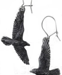Best Pirce 👏 ALCHEMY GOTHIC All Black Raven | EARRINGS` 👍