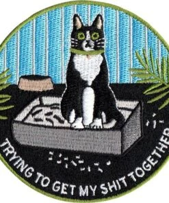 Coupon π₯ GROOVY THINGS Cats Trying Cat | PATCH β€οΈ