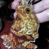 New π HOUSE OF HEX All Ophelia The Toad | KEYCHAIN βοΈ 1 New π HOUSE OF HEX All Ophelia The Toad | KEYCHAIN βοΈ -Alternative Accessories Elegant Store house of hex frog keychain 1 8a2ef234 7773 43c0 9e9e d0fe2fc10b1e 700x700