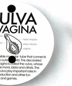 Flash Sale 😍 I HEART GUTS! All Hooray For The Vajayjay | PIN 🥰 -Alternative Accessories Elegant Store i heart guts vagina vulva lapel pins 5 pack 4 00c94741 5b5e 43dc 82a5 6470124d792c 700x700