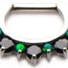 Flash Sale 💯 BODYVIBE Grunge Enchanted Forest [Black/Green] | SEPTUM CLICKER ❤️ -Alternative Accessories Elegant Store jewellery septum black clickers 1 93deeab8 abd7 4813 8ca0 a24a44db9cd4 700x700