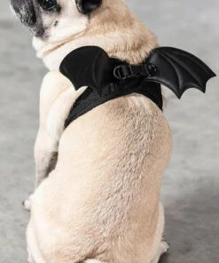 Buy 🎁 KILLSTAR Cats Flutter | PET HARNESS 🔔