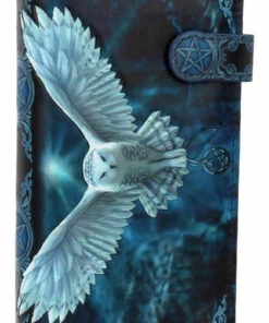 Cheapest 👏 NEMESIS NOW All Awaken Your Magic | EMBOSSED PURSE 🥰 -Alternative Accessories Elegant Store nemesis now awaken your magic embossed purse 1 cc5e13df d17e 4291 b466 f930343f3fd0 700x700