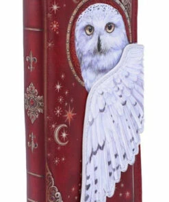 Deals π NEMESIS NOW The Moon Magical Flight | EMBOSSED PURSE π― 15 Deals π NEMESIS NOW The Moon Magical Flight | EMBOSSED PURSE π― -Alternative Accessories Elegant Store nemesis now magical flight embossed purse 4 95929797 968d 4dd5 90a5 3c9bc7ae6073 700x700