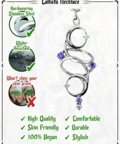 Deals 🥰 ROGUE AND WOLF The Moon Callisto [Mirror Steel] | NECKLACE 😉 -Alternative Accessories Elegant Store rogue and wolf callisto mirror steel necklace 9 1dfe0c33 3366 4e79 8b0b 8d77468db52e 700x700