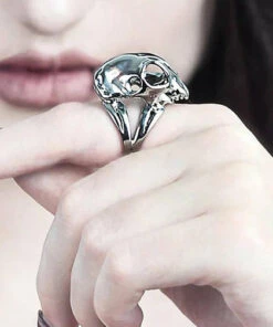 New 👍 ROGUE AND WOLF Skulls Cat Skull [Mirror Steel] | RING ✔️ -Alternative Accessories Elegant Store rogue and wolf cat skull mirror steel ring 8 cd5b449e 3cf9 41aa 8705 e500e512f9e4 700x700